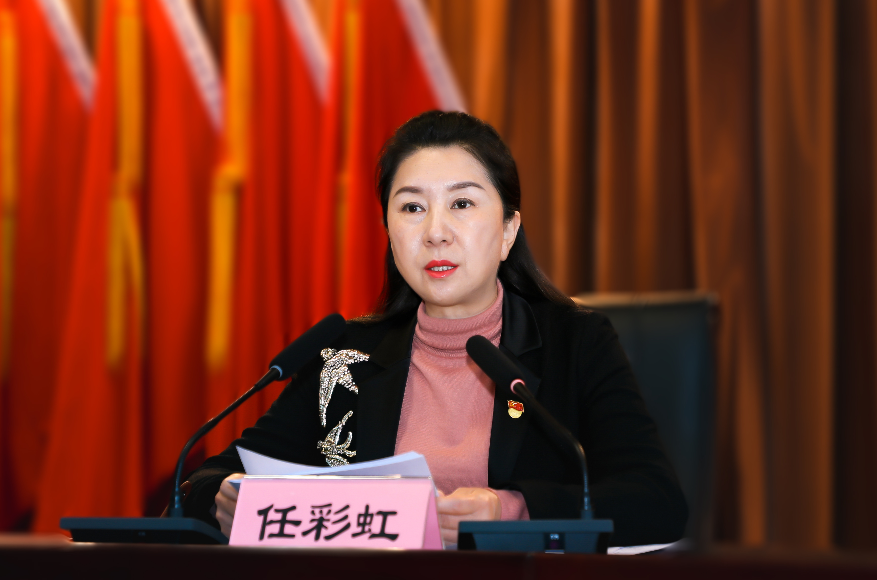 任彩虹为全县政法系统干部职工讲授专题党课