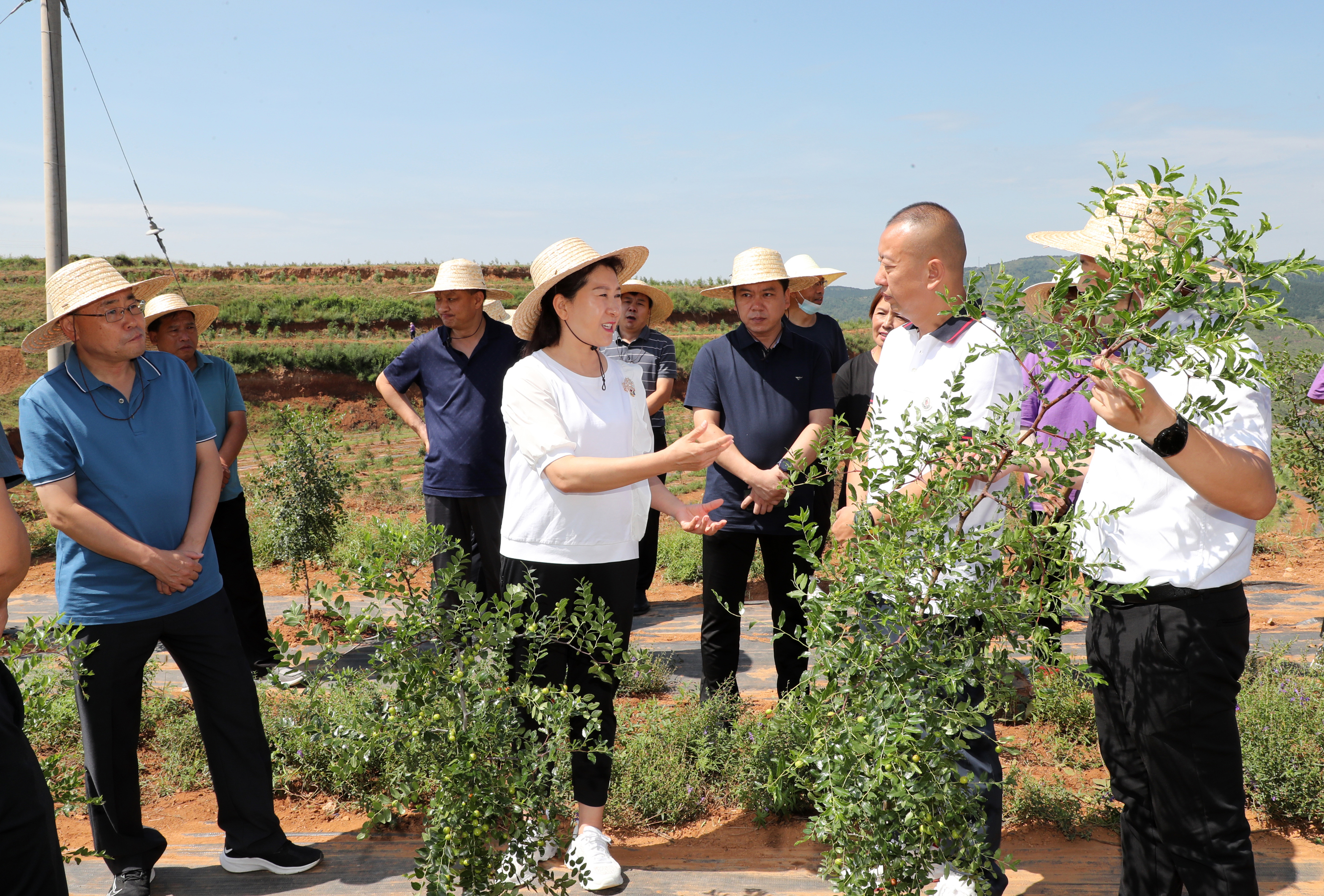 任彩虹深入端氏镇调研巩固拓展脱贫攻坚成果同乡村振兴有效衔接工作