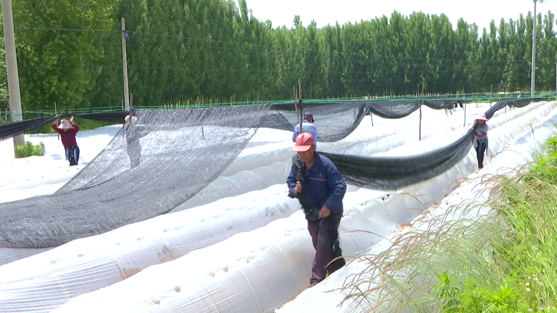 微信图片_2026-06-11_082930_999.png