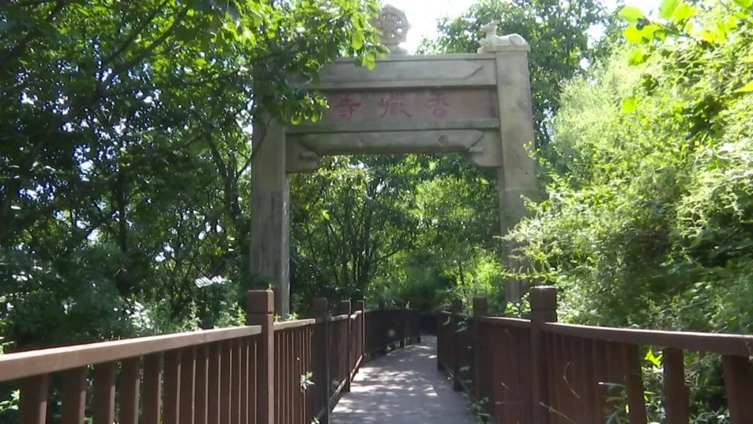 微信图片_2026-07-08_091248_403.jpg